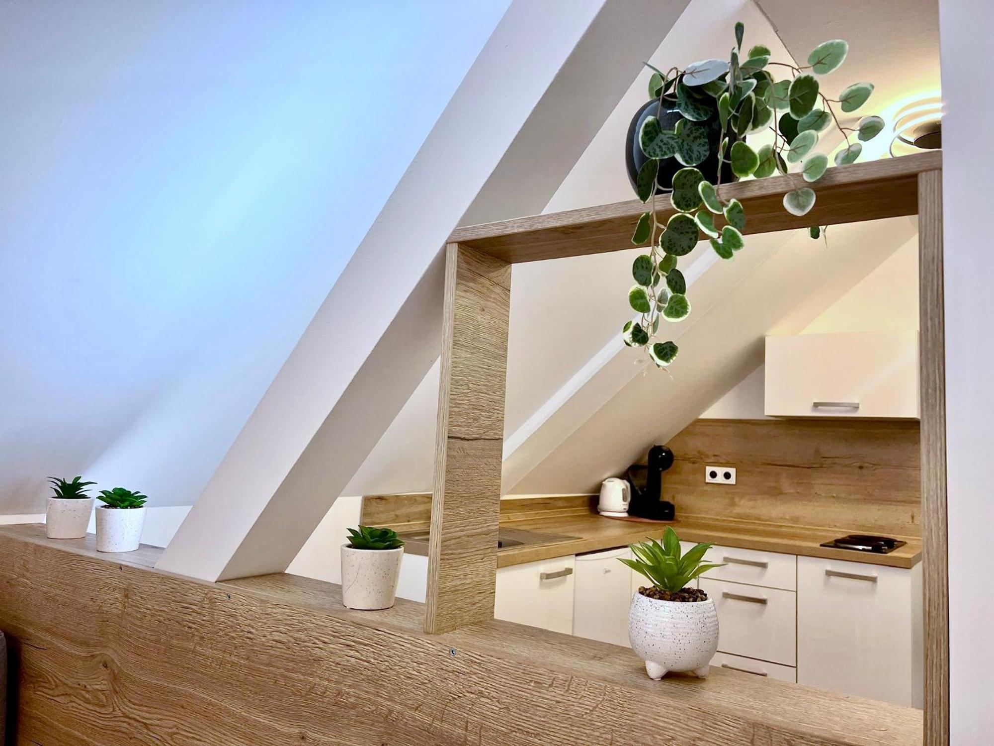 Apartman U Bobovky - Липно над Вълтава Екстериор снимка